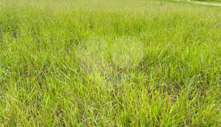 Terreno à venda no condomínio Real Park 2, Mogi das Cruzes - SP
