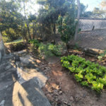 Casa à venda com 4 quartos em Vila Vilma (mailasqui), São Roque, SP