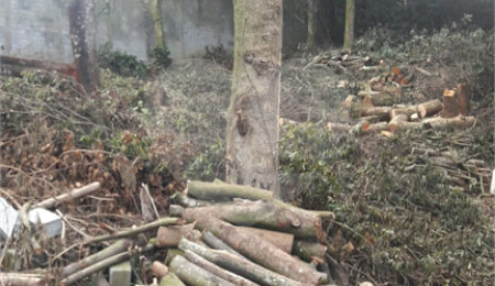 Terreno à venda no condomínio Parque Petrópolis 4 Secção, Mairiporã - SP
