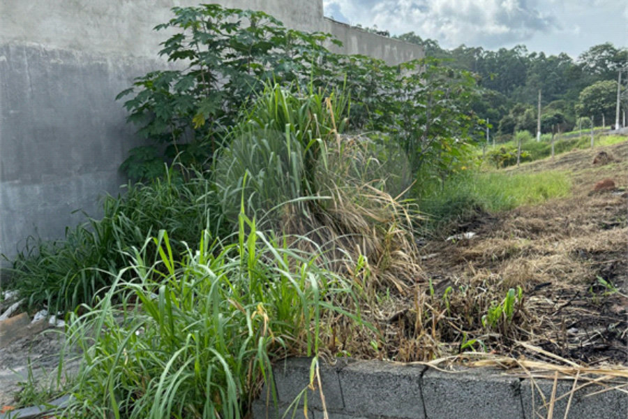 Terreno à venda em Laranjeiras, Caieiras, SP