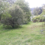 Terreno para alugar em Jardim Rene, São Roque, SP