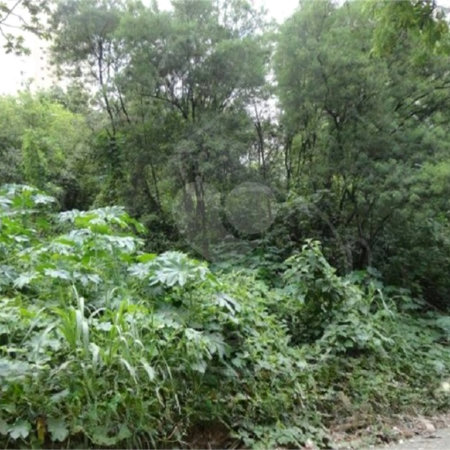 Terreno à venda em Vila Suzana, São Paulo, SP