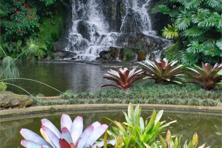 Apartamento à venda com 3 suítes em Vila Suzana, São Paulo, SP