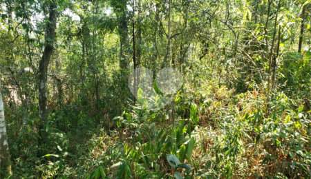 Terreno à venda no condomínio Cantareira, Mairiporã - SP