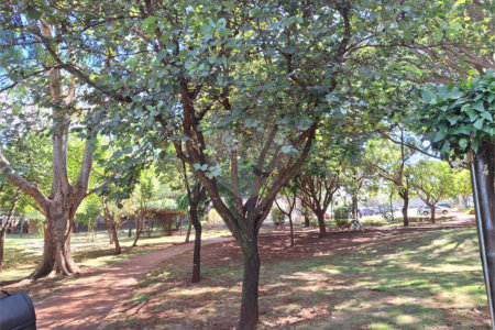 Apartamento à venda com 2 quartos em Reserva Sul Condomínio Resort, Ribeirão Preto, SP