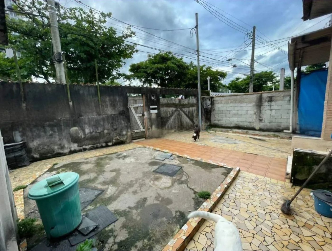 Terreno à venda, 450 m² por R$ 1.800.000,00 - Ponta da Praia - Santos/SP