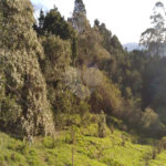 Terreno à venda em Serra da Cantareira, Mairiporã, SP