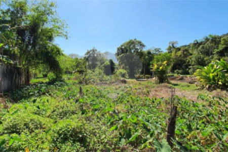 Terreno à venda em Sertão do Camburi, São Sebastião, SP
