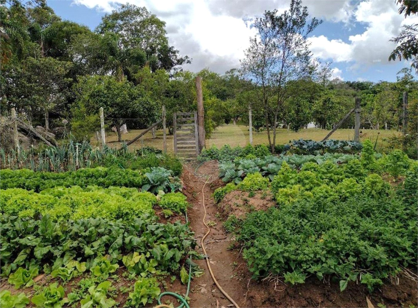 Excelente imóvel rural na cidade de Piedade/SP