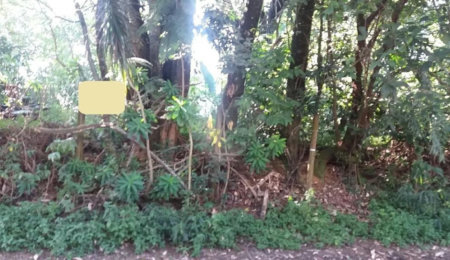 Terreno à venda em Tremembé, São Paulo, SP