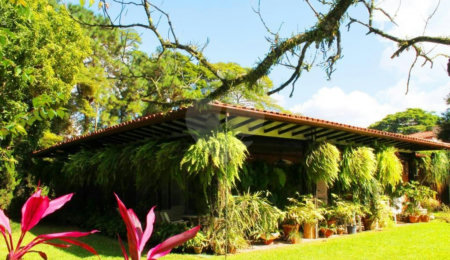Casa Térrea à venda com 3 quartos, sendo 1 suíte,  em Granja Julieta, São Paulo, SP