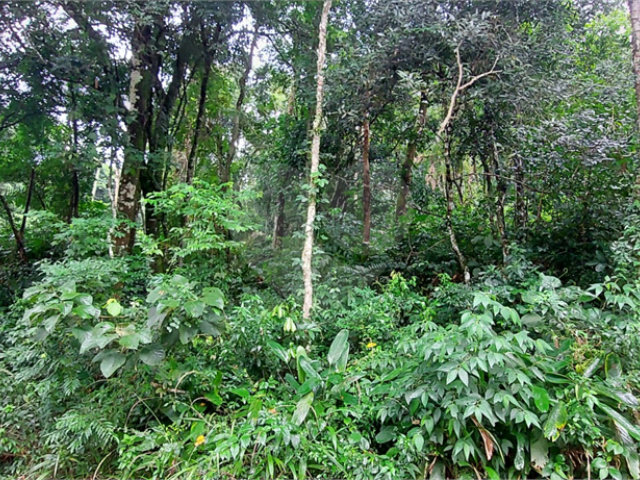 Condomínio à venda em Serra da Cantareira, Mairiporã, SP