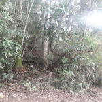 Terreno à venda em Suasalito, Mairiporã, SP