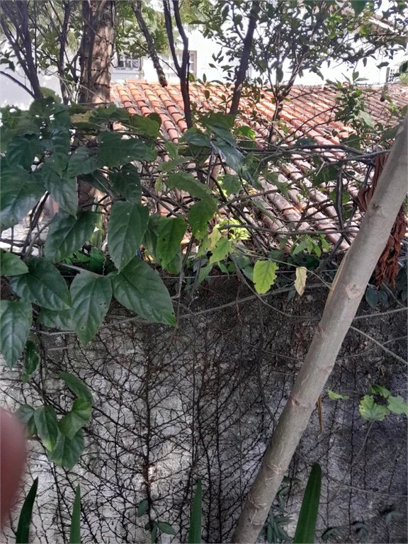 Casa à venda com 2 quartos em Jardim Semiramis, Cotia, SP