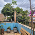 Casa à venda com 3 suítes em Vila Mariana, São Paulo, SP