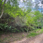 Terreno à venda em Chácara Recreio Lagoa dos Patos, Jundiaí, SP