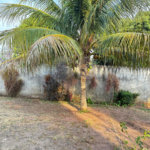 Sobrado para alugar com 4 quartos, sendo 2 suítes,  no Centro, Três Lagoas, MS