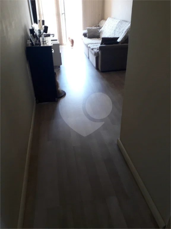 Apartamento à venda com 3 quartos em Tucuruvi, São Paulo, SP