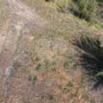 Casa à venda com 2 quartos, sendo 1 suíte, no condomínio Campos de Mairiporã Gleba 1, Mairiporã - SP