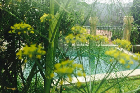 Casa à venda com 5 quartos, sendo 4 suítes, no condomínio Jardim Vitória Régia, São Paulo - SP