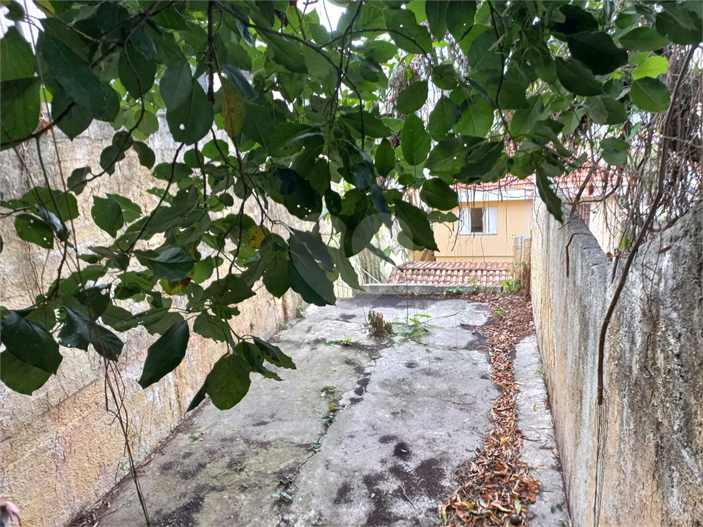 Sobrado à venda com 2 quartos em Vila Mazzei, São Paulo, SP