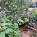 Loteamento à venda em Jardim Amália, São Paulo, SP