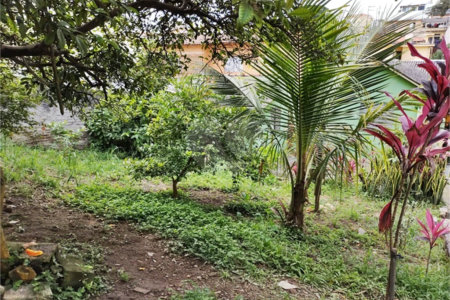 Terreno à venda em Vila Gustavo, São Paulo, SP