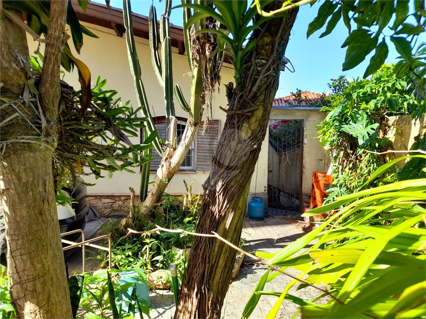 Casa Térrea à venda com 4 quartos em Mandaqui, São Paulo, SP