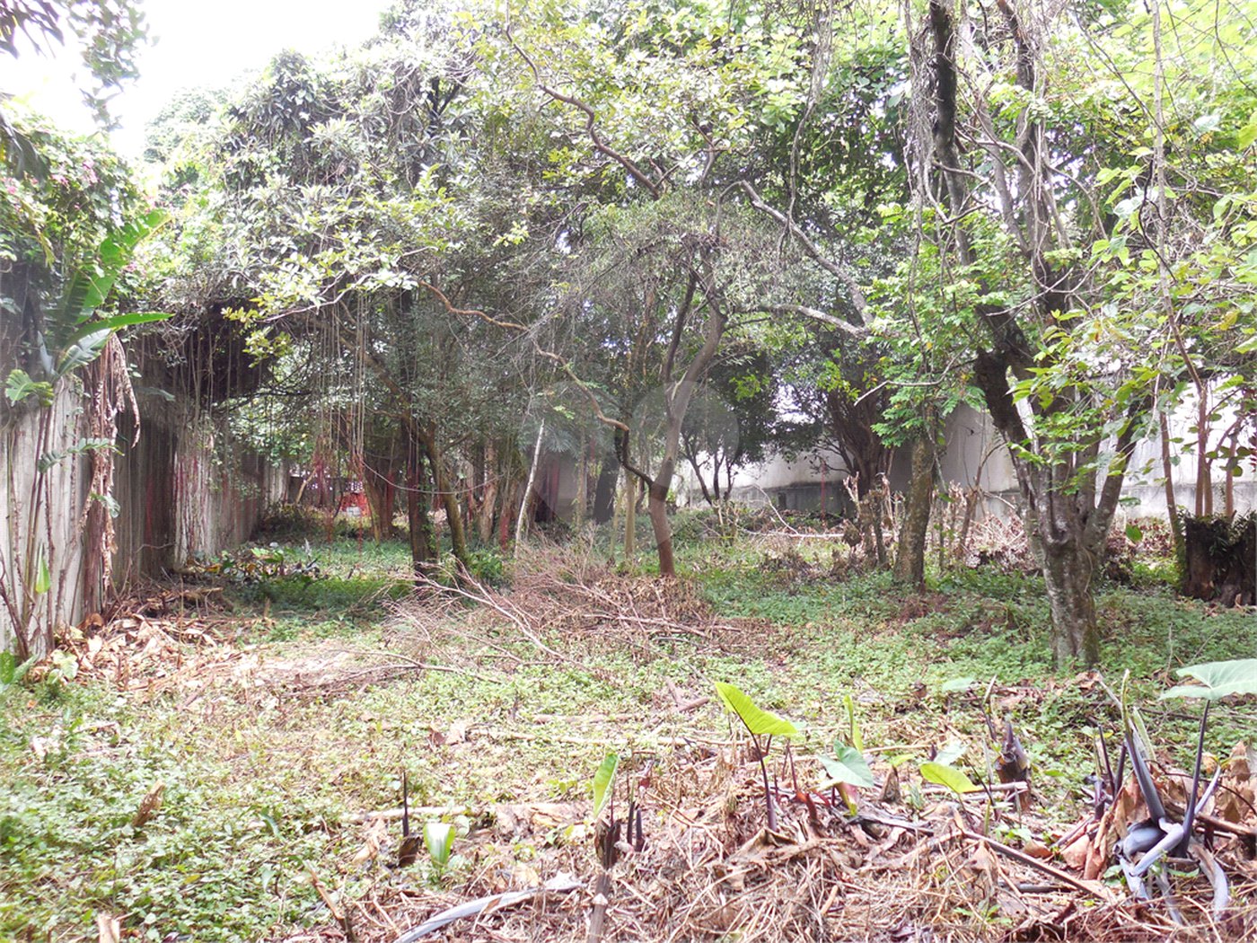 Terreno à venda em Alto da Boa Vista, São Paulo, SP