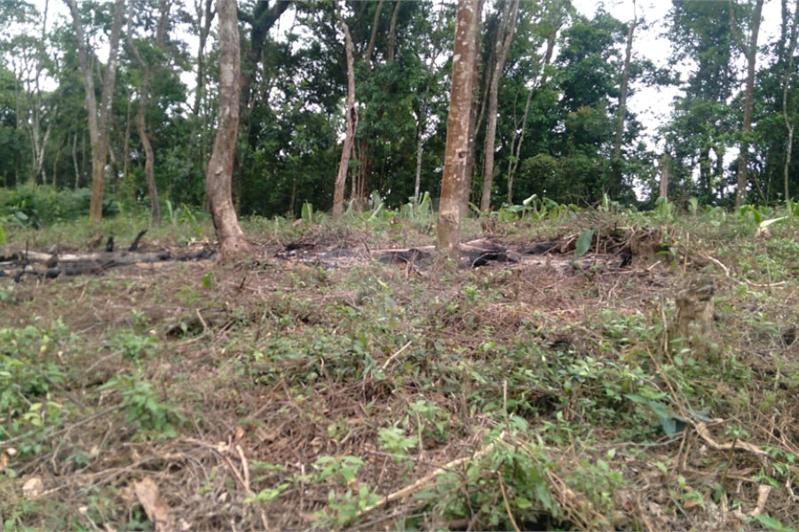 Terreno à venda em Jardim Atalaia, Cotia, SP