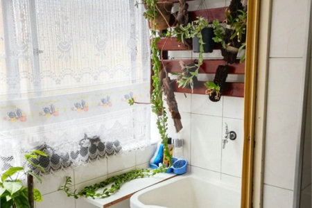 Apartamento à venda com 1 quarto em Cocaia, Guarulhos, SP