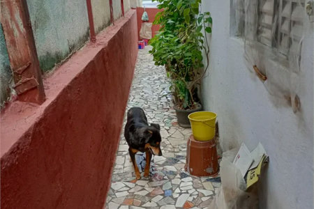 Sobrado à venda com 3 quartos em Vila Menck, Osasco, SP