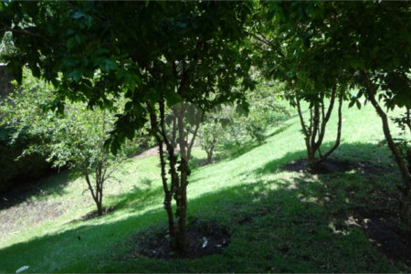 Apartamento à venda com 4 suítes em Jardim Fonte do Morumbi, São Paulo, SP