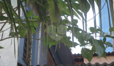 Terreno à venda em Água Fria, São Paulo, SP