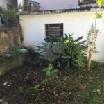 Casa Térrea à venda com 3 quartos, sendo 1 suíte, em Santana, São Paulo, SP