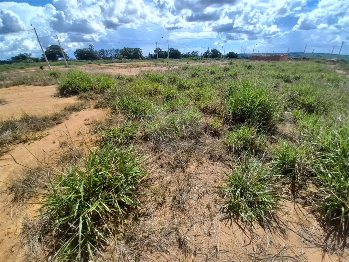 Terreno plano contendo 242,00 m² de área total.