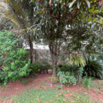 Chácara Espaçosa no Santa Rita com Área Gourmet, Sauna e Árvores Frutíferas