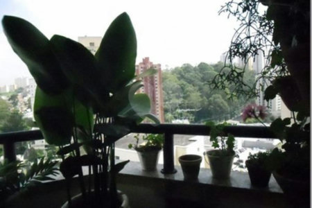 Apartamento à venda com 3 quartos, sendo 1 suíte, em Vila Andrade, São Paulo, SP