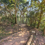 Terreno à venda no condomínio Reserva dos Jatobás, Louveira - SP