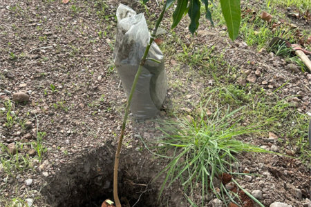 Terreno à venda em Nossa Senhora da Guia, Cuiabá, MT