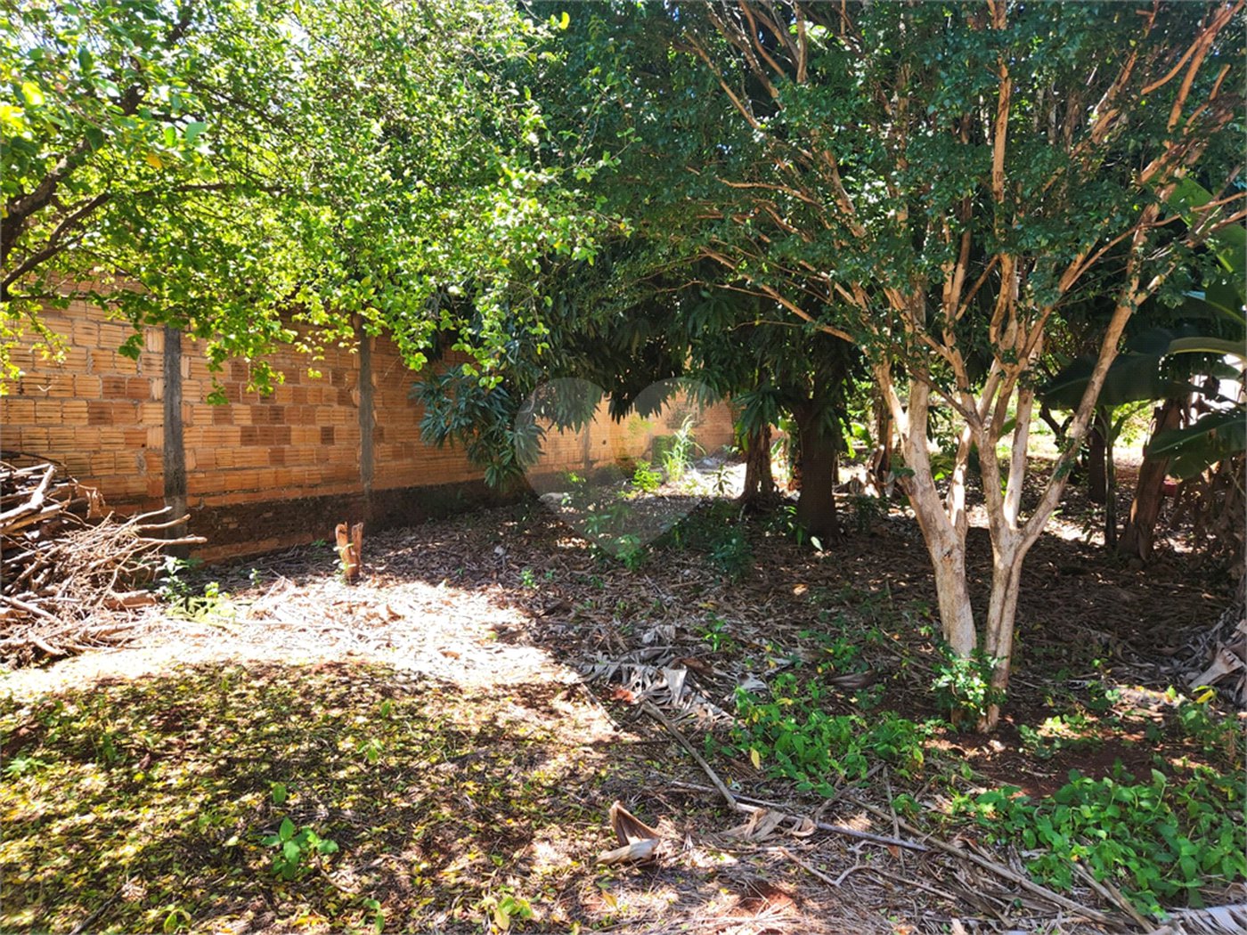 Terreno à venda em Vila Harmonia, Araraquara, SP