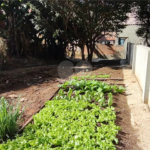 Terreno à venda em Vila Gustavo, São Paulo, SP