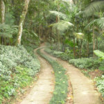 Casa à venda com 8 quartos, sendo 4 suítes, em Parque Alves de Lima, São Paulo, SP