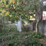 Terreno à venda em Tremembé, São Paulo, SP