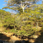 Chácara à venda no Centro, Monte Sião, MG