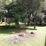 Prédio à venda no Centro, Salto, SP
