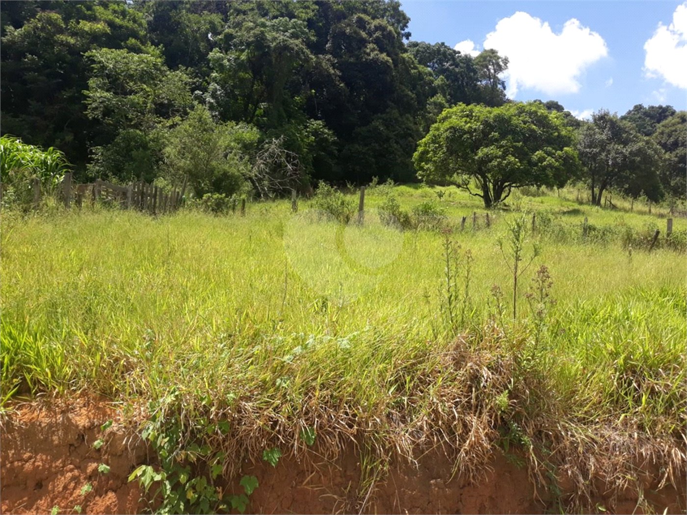 Terreno à venda em Guaçu, São Roque, SP