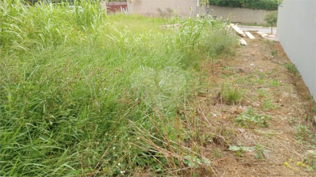 Terreno à venda em Pinheirinho, Vinhedo, SP