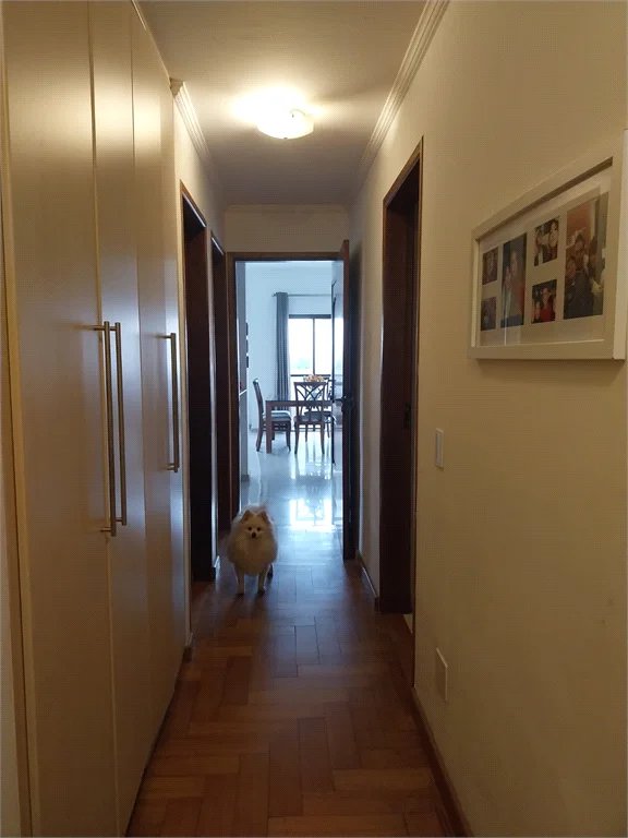 Apartamento à venda com 4 quartos, sendo 1 suíte, em Vila Ipojuca, São Paulo, SP