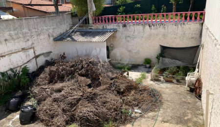 Terreno à venda em Santa Teresinha, São Paulo, SP